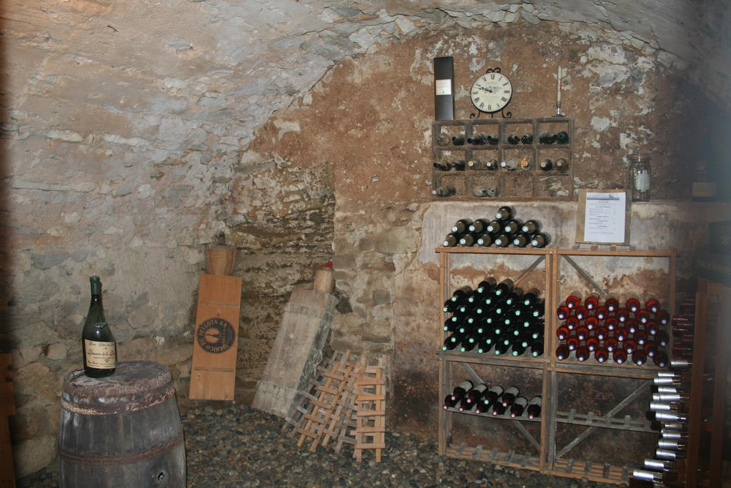 La Salamandre Bleue Villa Chantemerle-les-Grignan Bagian luar foto